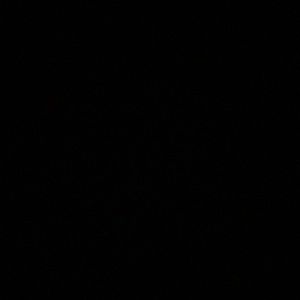 Meet your Posher, Troy